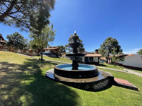 Day, Natural landscape, Garden, Garden view