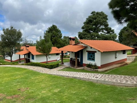 Property building, Neighbourhood, Garden