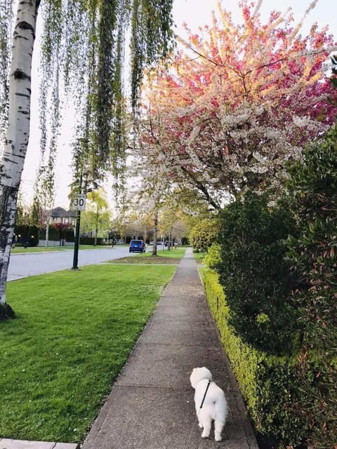 The Sunshine House-Free Parking Bed and Breakfast in Vancouver