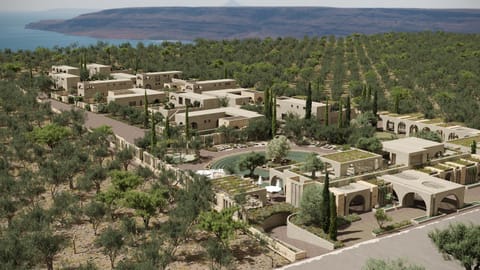 Property building, Natural landscape, Bird's eye view