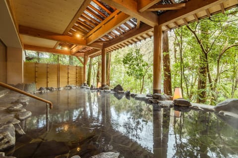 Hot Spring Bath, Bathroom, Open Air Bath, Public Bath