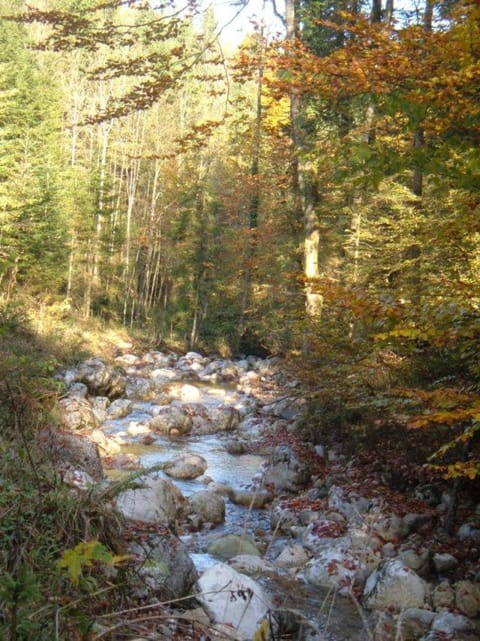 Jaklhof Farm Stay in Aschau im Chiemgau