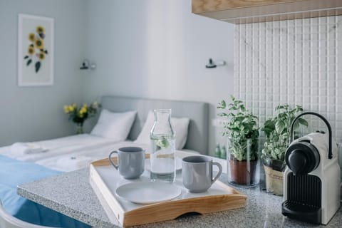 Coffee/tea facilities, Kitchen or kitchenette, Living room, Photo of the whole room, Decorative detail, Dining area, Bedroom, Area and facilities, Non alcoholic drinks