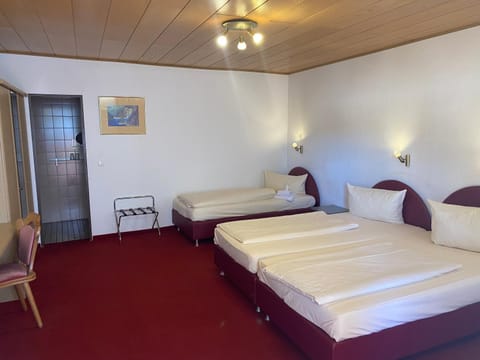 Gästehaus Vis-A-Vis Bed and Breakfast in Mainz-Bingen