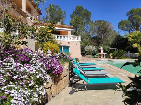 Patio, Pool view, Swimming pool, sunbed