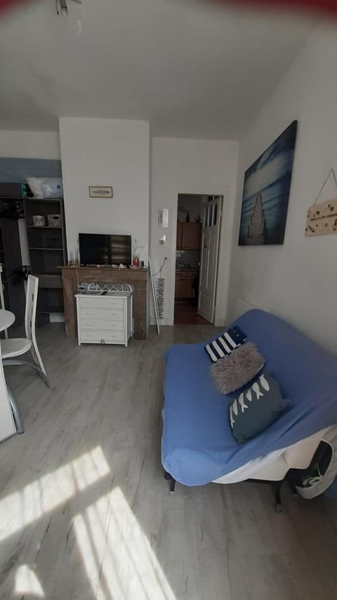 meublé saisonnier plage Apartment in Dunkirk