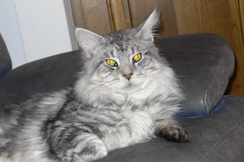 Locanda All'Andreas Country House in Lazio