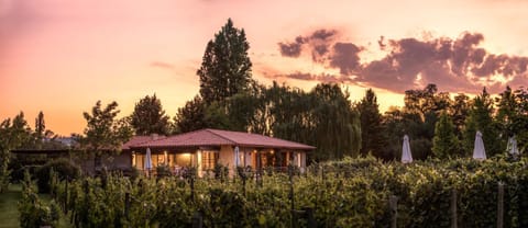 Natural landscape, Garden, Garden view, Sunrise, Sunset