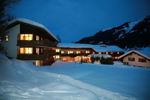 Property building, Night, Natural landscape, Winter, Mountain view