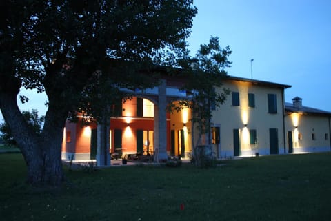 Property building, Summer, Garden, Sunset