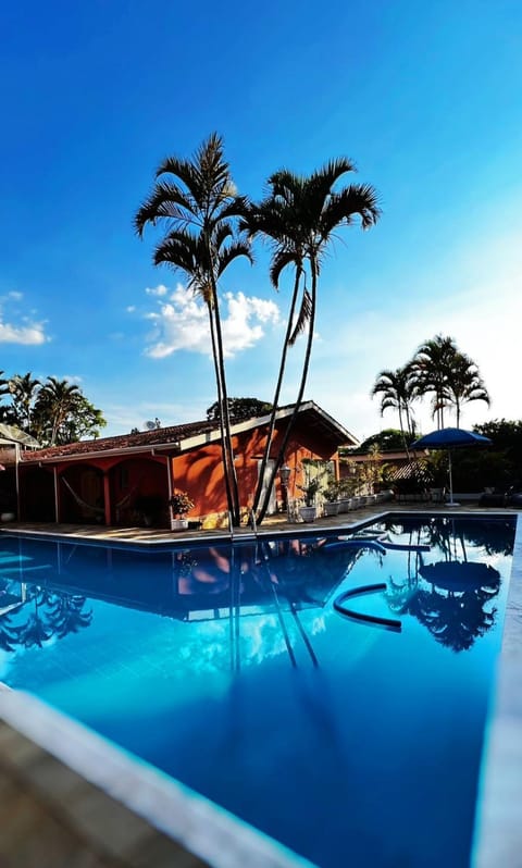 Day, Pool view, Swimming pool, sunbed