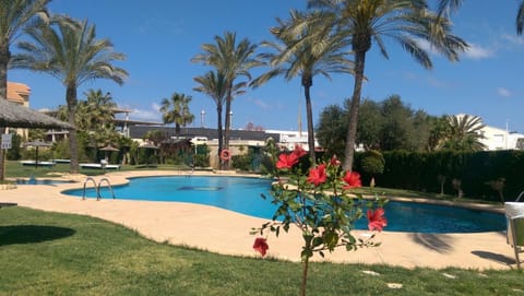 Garden, Pool view