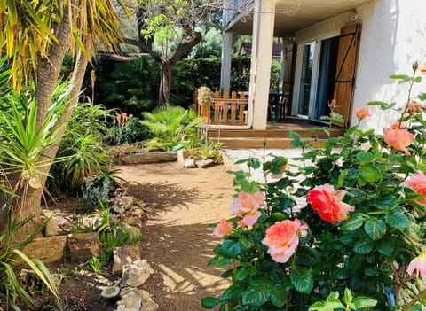 Patio, Garden