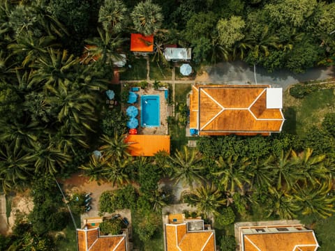 Property building, Garden, Swimming pool