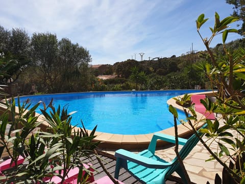 Swimming pool, Swimming pool