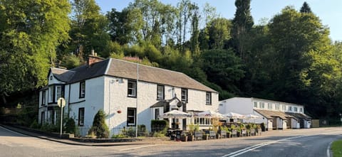Property building, Natural landscape, Street view
