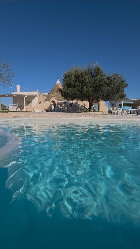 Day, Pool view, Swimming pool