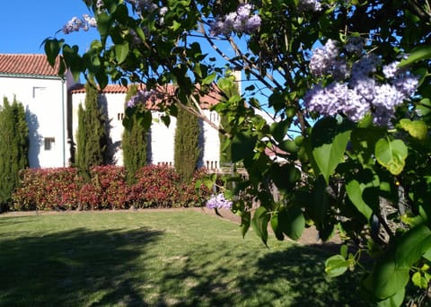 Garden, Entertainment