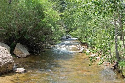 Nicky's Resort Resort in Estes Park