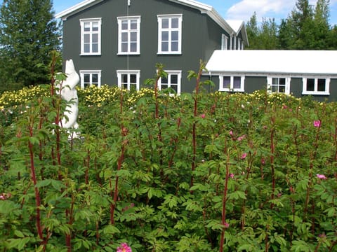 Property building, On site