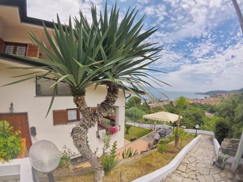 Property building, Garden view