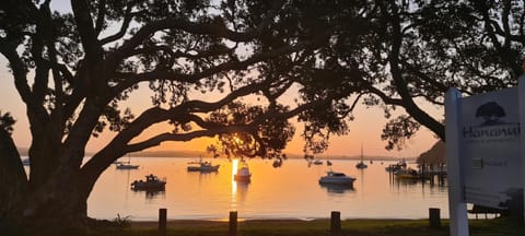 Hananui Lodge and Apartments Apartment hotel in Northland