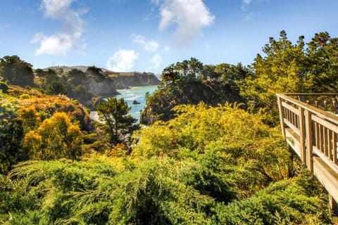 Elk Mid-Century House in Elk