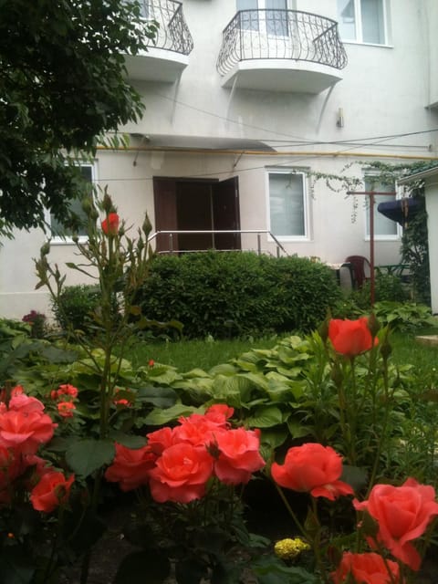 Facade/entrance, Garden