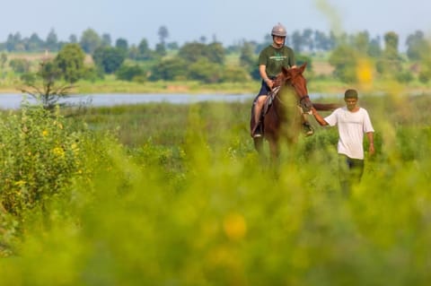Day, People, Natural landscape, Horse-riding, Animals, On site, Lake view
