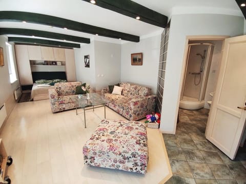 Living room, Photo of the whole room