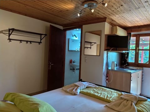 Bed, TV and multimedia, Kitchen or kitchenette, Bedroom