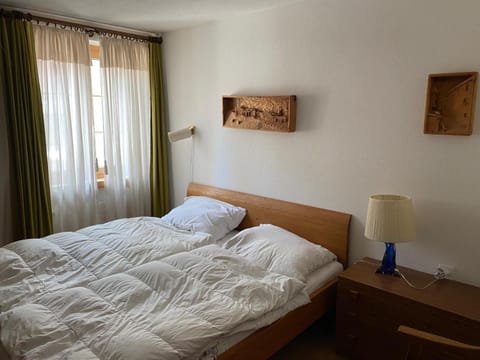 Chesa Crasta 6 Apartment in Samedan