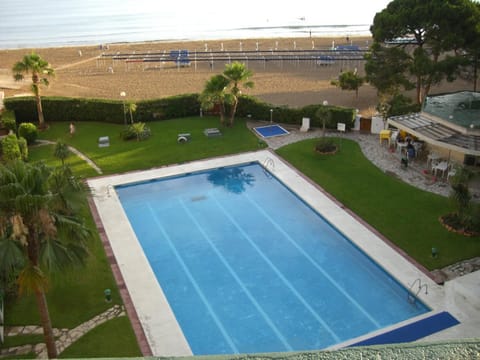 Garden, Lounge or bar, Beach, Swimming pool