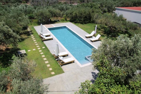 Olive View Apartment in Crete