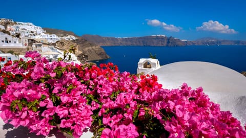 Day, City view, Sea view