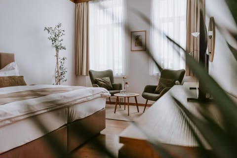Bed, Living room, Photo of the whole room, Seating area, Bedroom