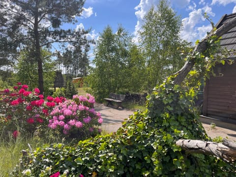 Property building, Garden view