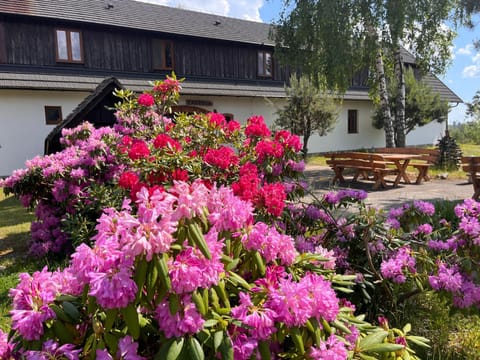 Property building, Garden, Garden view