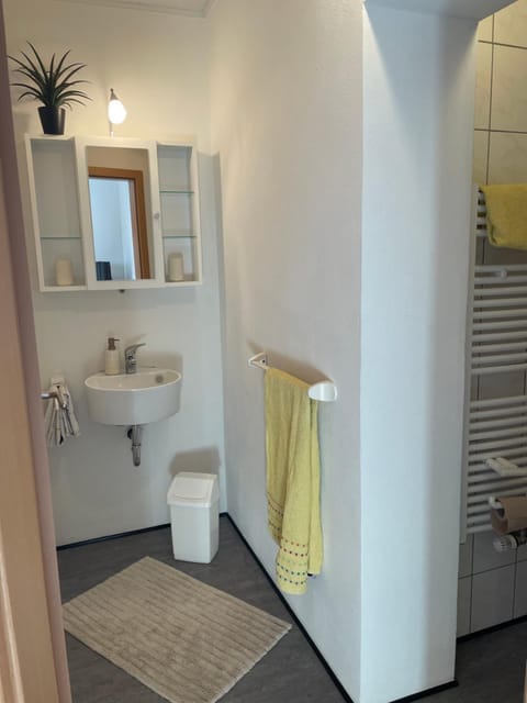 Toilet, Bathroom, towels