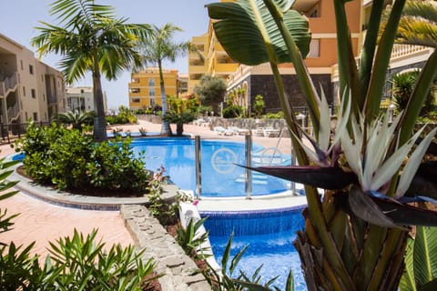 On site, Swimming pool, Time of day