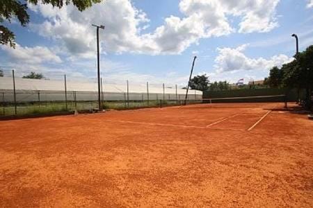 Tennis court, Area and facilities