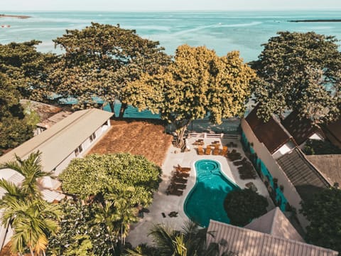 Patio, Restaurant/places to eat, Bird's eye view, Beach, Pool view, Sea view, Swimming pool, sunbed