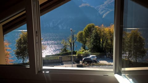 Lake view