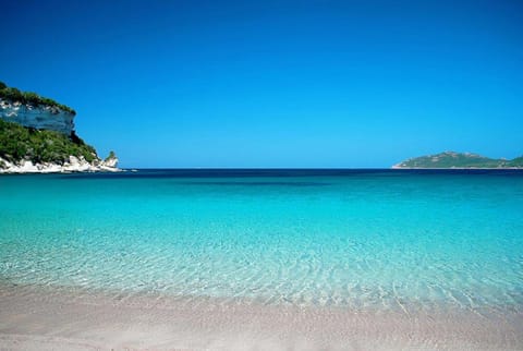 Bonifacio 5 minutes du port et plage - clim & piscine Villa in Bonifacio