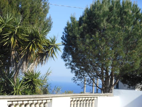 Property building, Nearby landmark, Day, Natural landscape, Summer, Garden, Balcony/Terrace, Decorative detail, Beach, Animals, On site, Pets, Garden view, Sea view, Entertainment, children, young children, older children, Family
