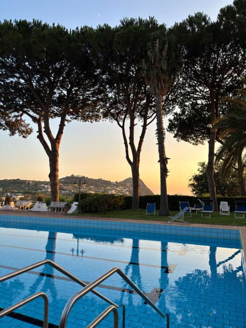 Natural landscape, Pool view, Swimming pool, sunbed