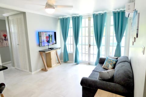 Spring, Bed, Day, TV and multimedia, Living room, Photo of the whole room, Decorative detail, Seating area, Garden view