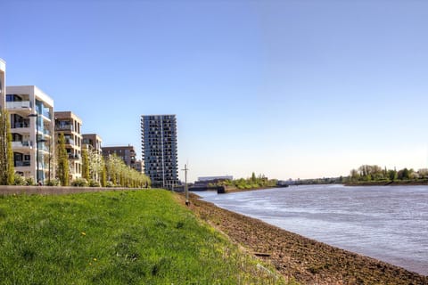 Neighbourhood, Beach, Hiking