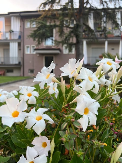 Otta House Garda Lake Apartment in Castelnuovo del Garda