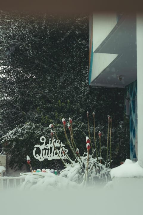 Winter